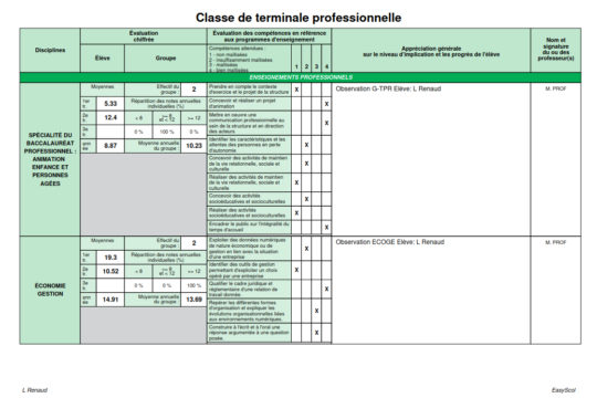 Livret scolaire voie professionnelle